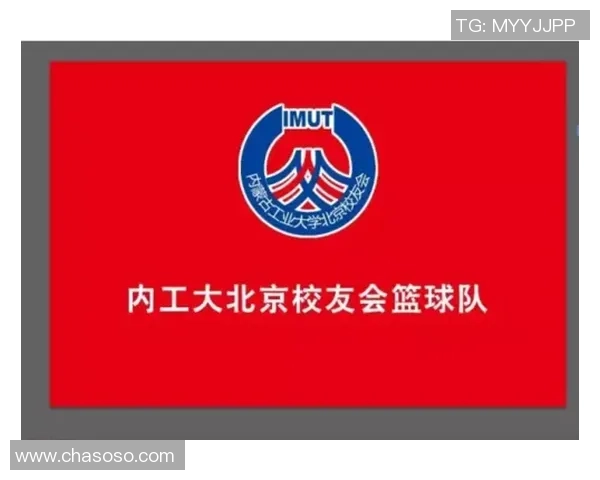 武汉篮球队在精英赛中的灵活性表现分析与战术探讨